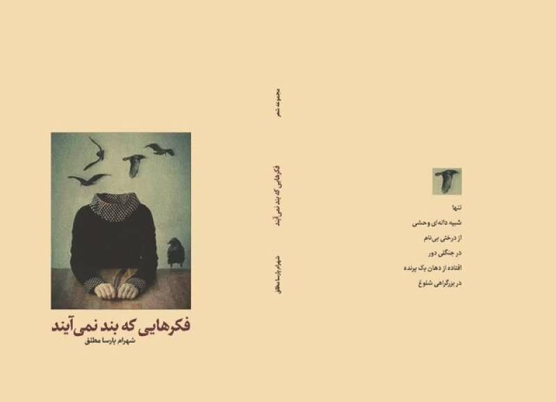 مجموعه شعر "فکرهایی که بند نمی‌آیند"  اثر شاعر جیرفتی منتشر شد